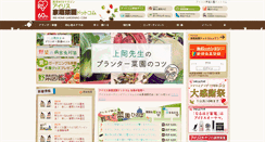 Desktop Screenshot of iris-saien.com